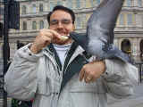 Those crazy pigeons of Trafalgar Square