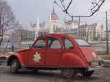 Flower power with the parliment building across the river