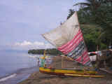 Sail made from bedsheets or anything else handy at the time, and you should see it sail!