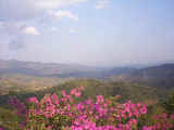 Striking view from over miles of former poppy fields