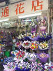 A small shop in the middle of the city's flower market